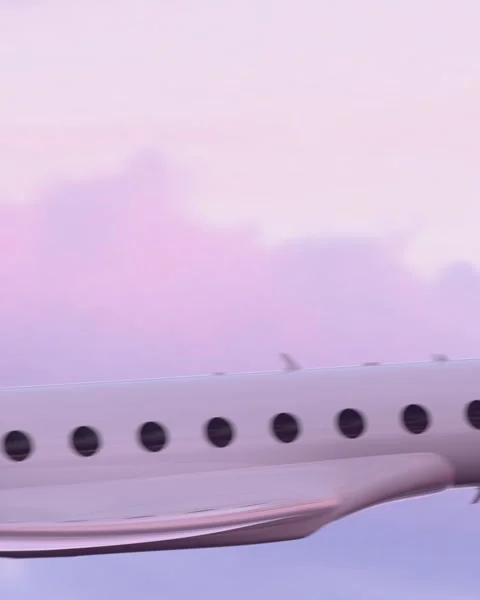 Private jet flight Vídeo Stock 328364127