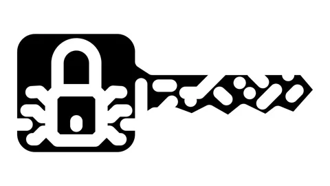 Private key decentralized application glyph icon animation Stock Footage 326735308