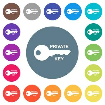 Private key flat white icons on round color backgrounds Stock Illustration