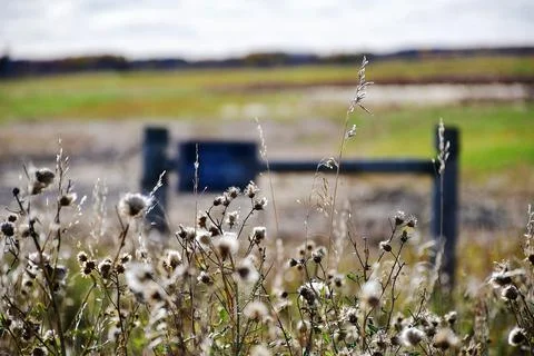 Private Land Stock Photos