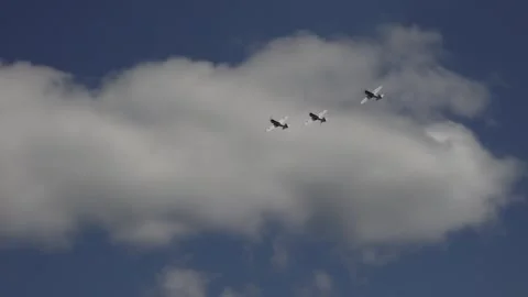 Private plane crash. A small plane during an aerobatic simulation. Video stock 243876991