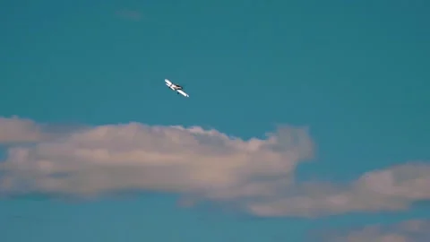 Private plane crash. A small plane during an aerobatic simulation. Video stock 243902006