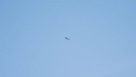 A private plane flies against the background of the blue sky. Video stock 347366612
