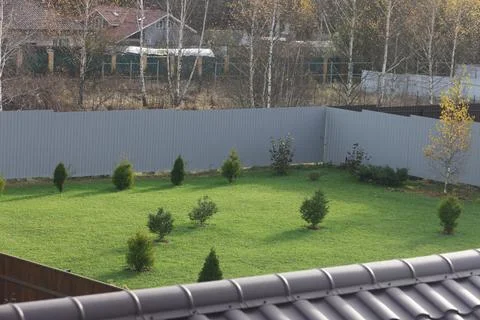 Private plot with lawn and young thujas, Moscow region, October 2024, 2 Stock Photos