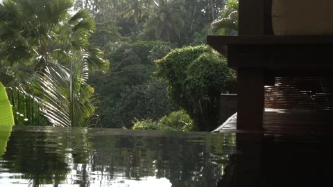 Private pool of the villa in the jungle of Bali. Stock Footage 104494196