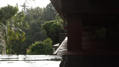 Private pool of the villa in the jungle. Stock Footage 104494222