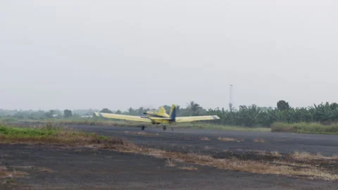 A private propeller plane lands on a runway overgrown with grass Stock Footage 261965030