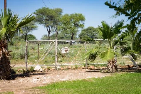 Private road in Namibia, Private in Namibia Stock Photos