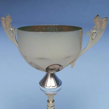 Prize Cup 3D Model