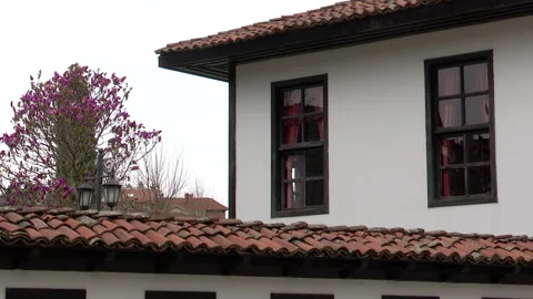 The Prizren League Stock Footage 341396421