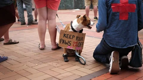Pro-choice pro-abortion protests in downtown Dayton 스톡 동영상 201447573