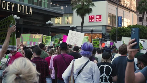 A Pro-Choice Protester's Sign Read "BANS OFF OUR BODIES" Stock Footage 198551891