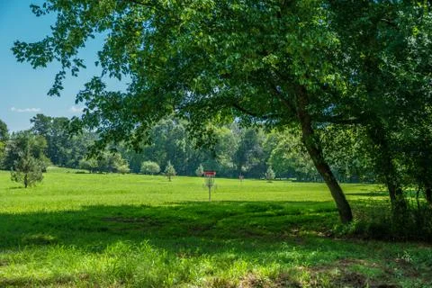 Pro disc golf course Stock Photos