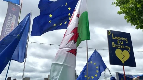 Pro-EU and British flags flying at the National Rejoin March in London. Stock Footage 338386630