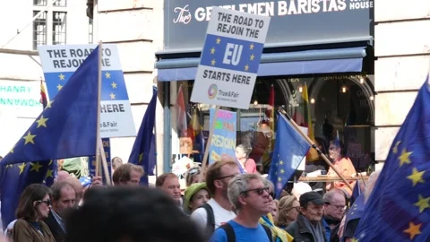 Pro EU supporters with flags at the National Rejoin March - London 2023. Stock Footage 252852193