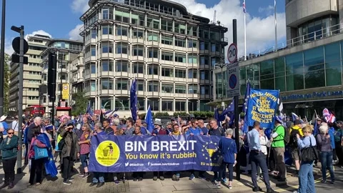 Pro EU supporters with flags at the National Rejoin March - London 2023. Stock Footage 253176499