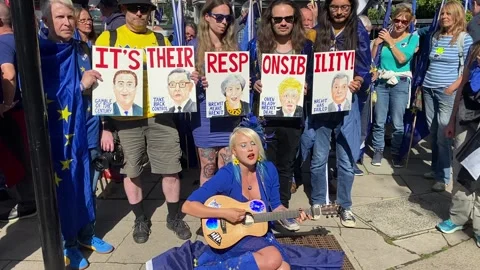 Pro EU supporters with flags at the National Rejoin March - London 2023. Stock Footage 253177097