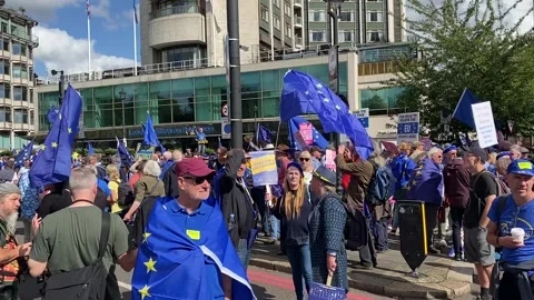 Pro EU supporters with flags at the National Rejoin March - London 2023. Stock Footage 253181755