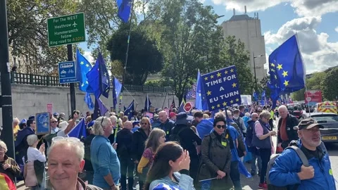 Pro EU supporters with flags at the National Rejoin March - London 2023. Stock Footage 253181771