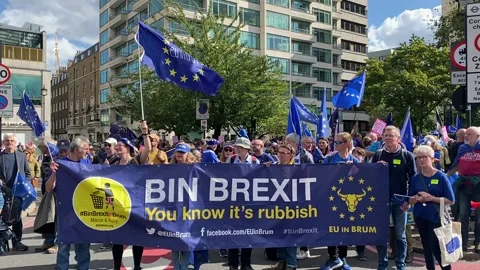 Pro EU supporters with flags at the National Rejoin March - London 2023. Stock Footage 253181774