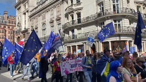 Pro EU supporters with flags at the National Rejoin March - London 2023. Stock Footage 253181788