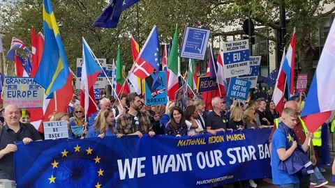 Pro EU supporters with lead banner at the National Rejoin March - London 2023. Stock Footage 253181796