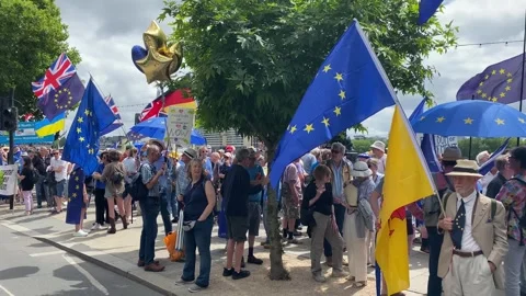 Pro-EU supporters with signs and flags at the National Rejoin March in London. Stock Footage 338386933