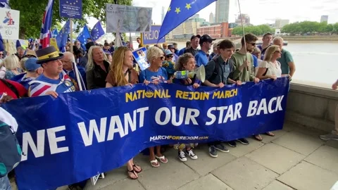 Pro-EU supporters with signs and flags at the National Rejoin March in London. Video stock 338387068