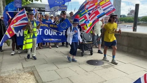 Pro-EU supporters with signs and flags at the National Rejoin March in London. Stock Footage 338387207