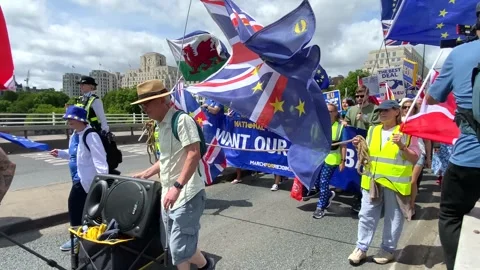 Pro-EU supporters with signs and flags at the National Rejoin March in London. Stock Footage 338388634