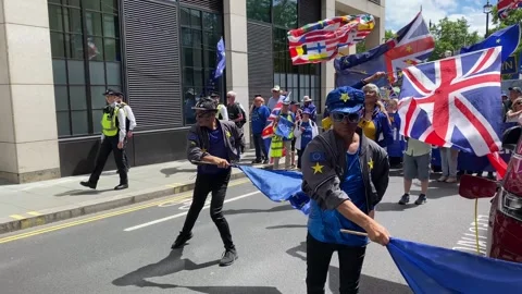Pro-EU supporters with signs and flags at the National Rejoin March in London. Stock Footage 338388662