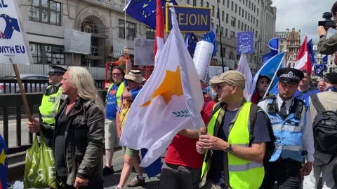 Pro-EU supporters with signs and flags at the National Rejoin March in London. Stock Footage 338388670
