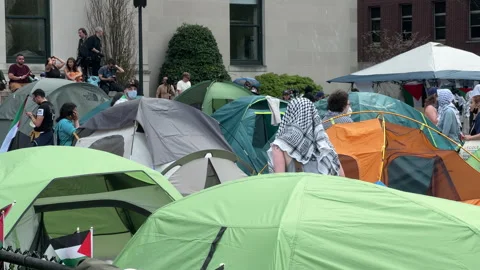 Pro-Gaza student protests inside Columbia University Campus, NYC, April, 29 2024 Stock Footage 274368379