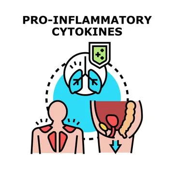 Pro inflammatory cytokines affecting human biological systems Stock Illustration