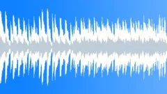 Pro (loop)Stock Music