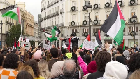 Pro-Palestine Demonstration, crowd shouting gathered with Palestine flags 스톡 동영상 254368884