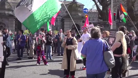Pro-Palestine protest held at Dail days after arrests Vídeo Stock 305674671