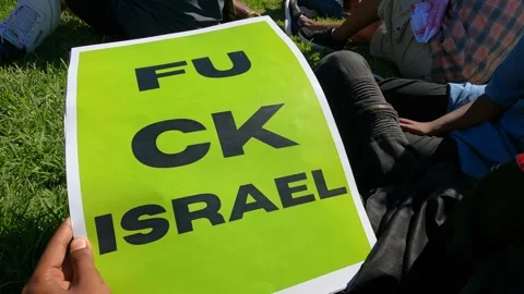 Pro-Palestine protest in Sea Point, Cape Town Stock Footage 303352809