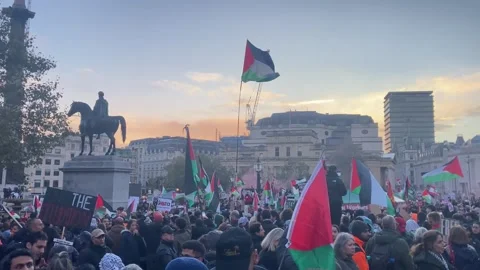 Pro Palestine Protest Trafalgar Square L... | Stock Video | Pond5