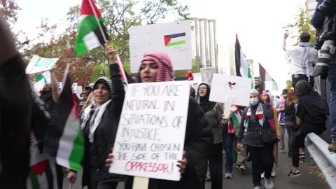 Pro-Palestinian Demonstration Video stock 255046740