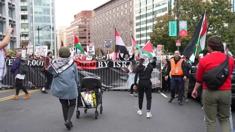 Pro-Palestinian Demonstration Stock Footage 255046788