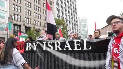 Pro-Palestinian Demonstration Stock Footage 255046866