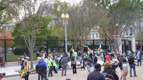 Pro-Palestinian Demonstration Stock Footage 255047085