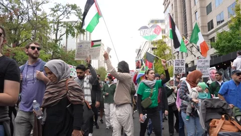 Pro-Palestinian Demonstration Stock Footage 255047221