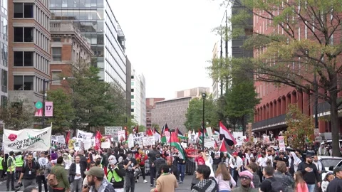 Pro-Palestinian Demonstration Stock Footage 255047359