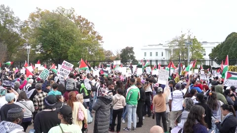 Pro-Palestinian Demonstration Stock Footage 255047398