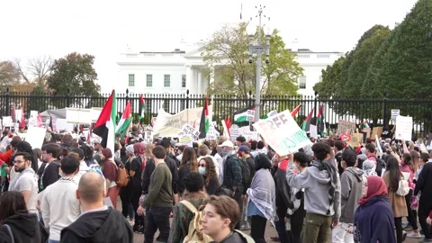 Pro-Palestinian Demonstration Stock Footage 255047419