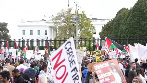 Pro-Palestinian Demonstration Stock Footage 255047449