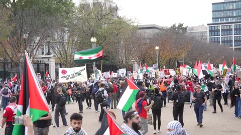 Pro-Palestinian Demonstration Stock Footage 255047480