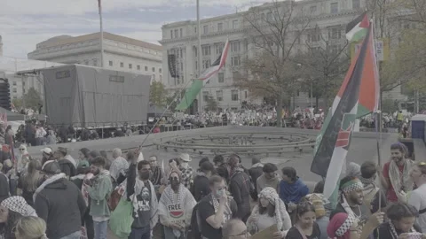 Pro-Palestinian Demonstration LOG FOOTAGE INCLUDED WITH CLIP Stock Footage 255025997